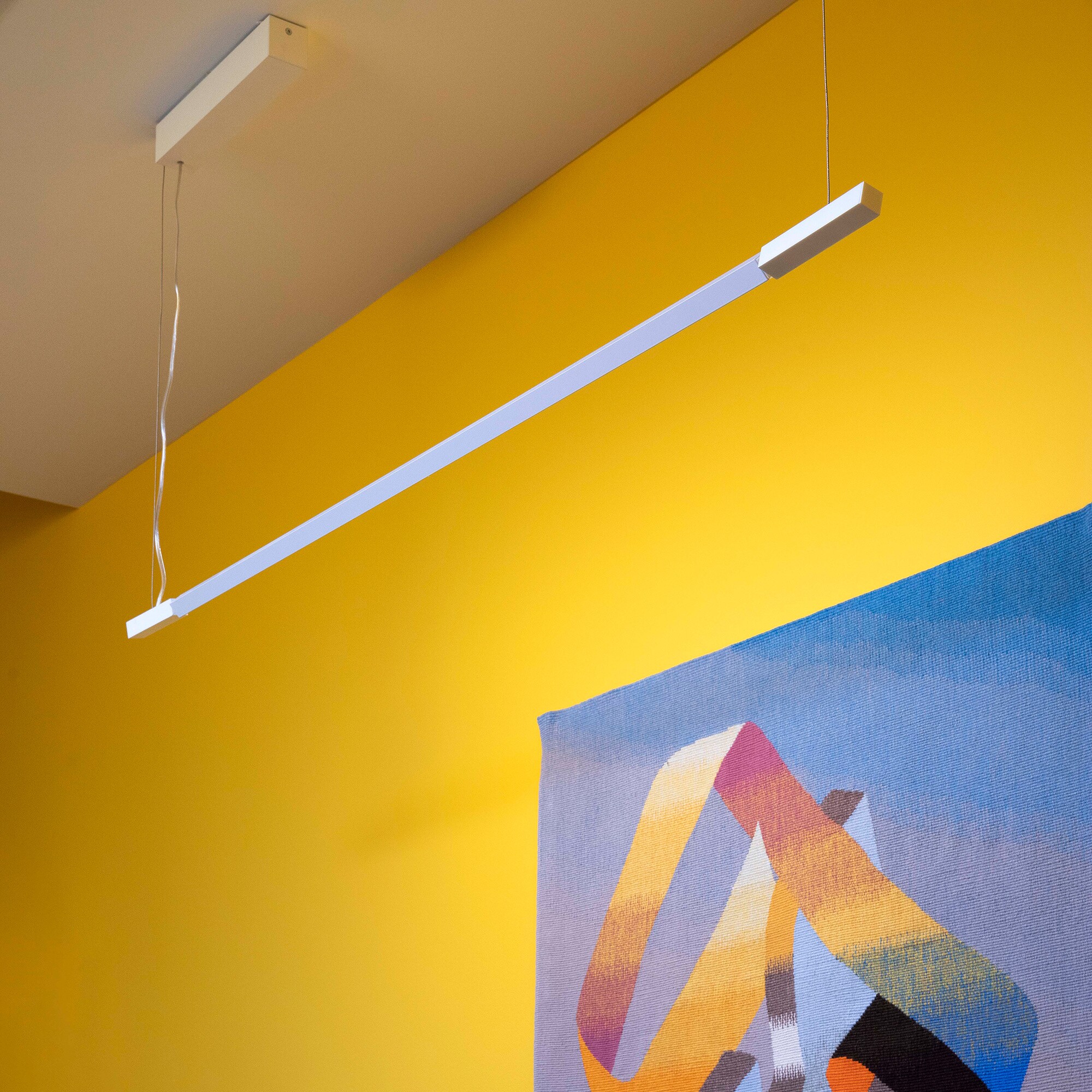 Linescapes Horizontal LED Suspension Lamp