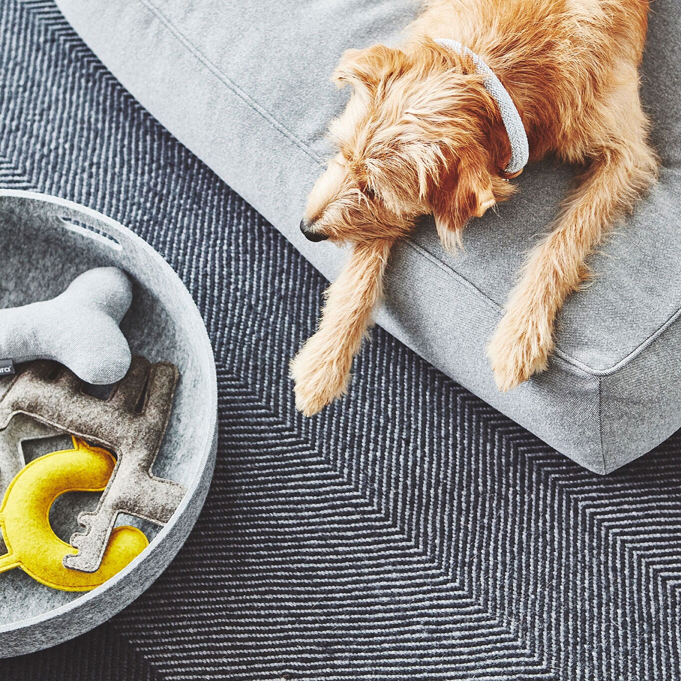 Stella Dog Lounge Pillow ML