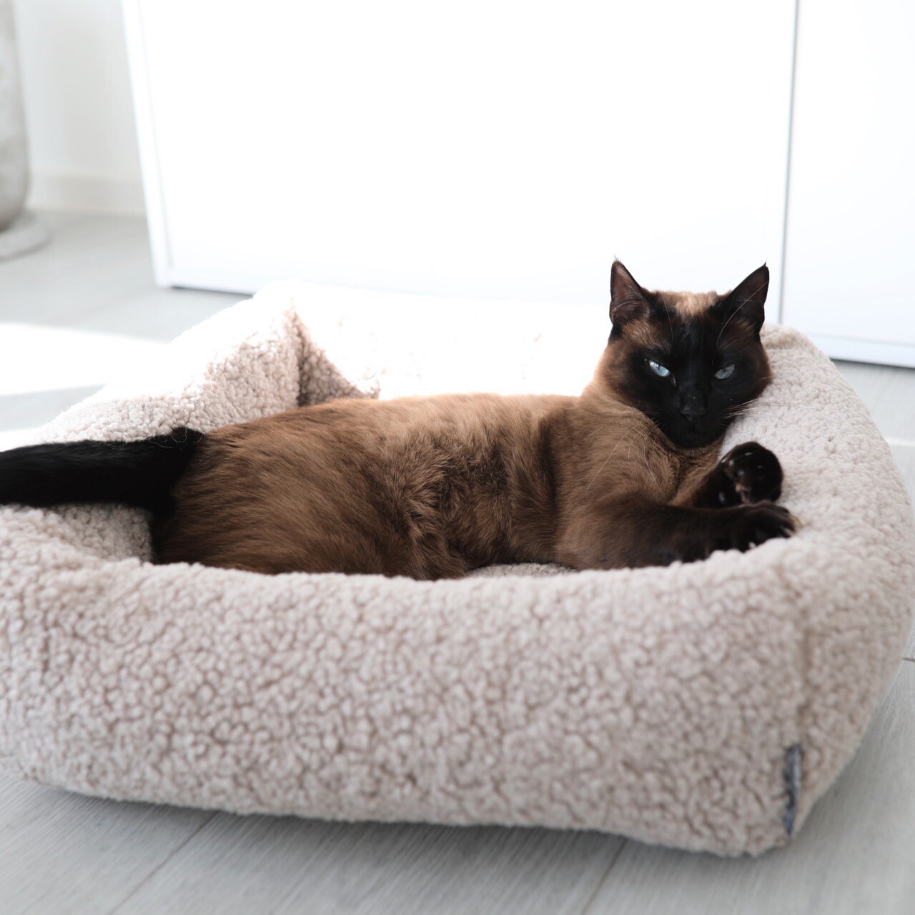Senso Box Cat Bed