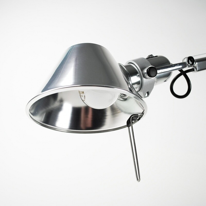 Tolomeo Micro Terra Floor Lamp