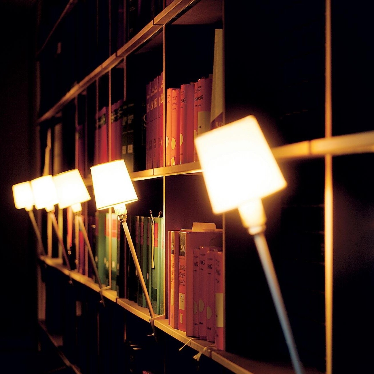 Rosi Lamp FNP Clamp Lamp