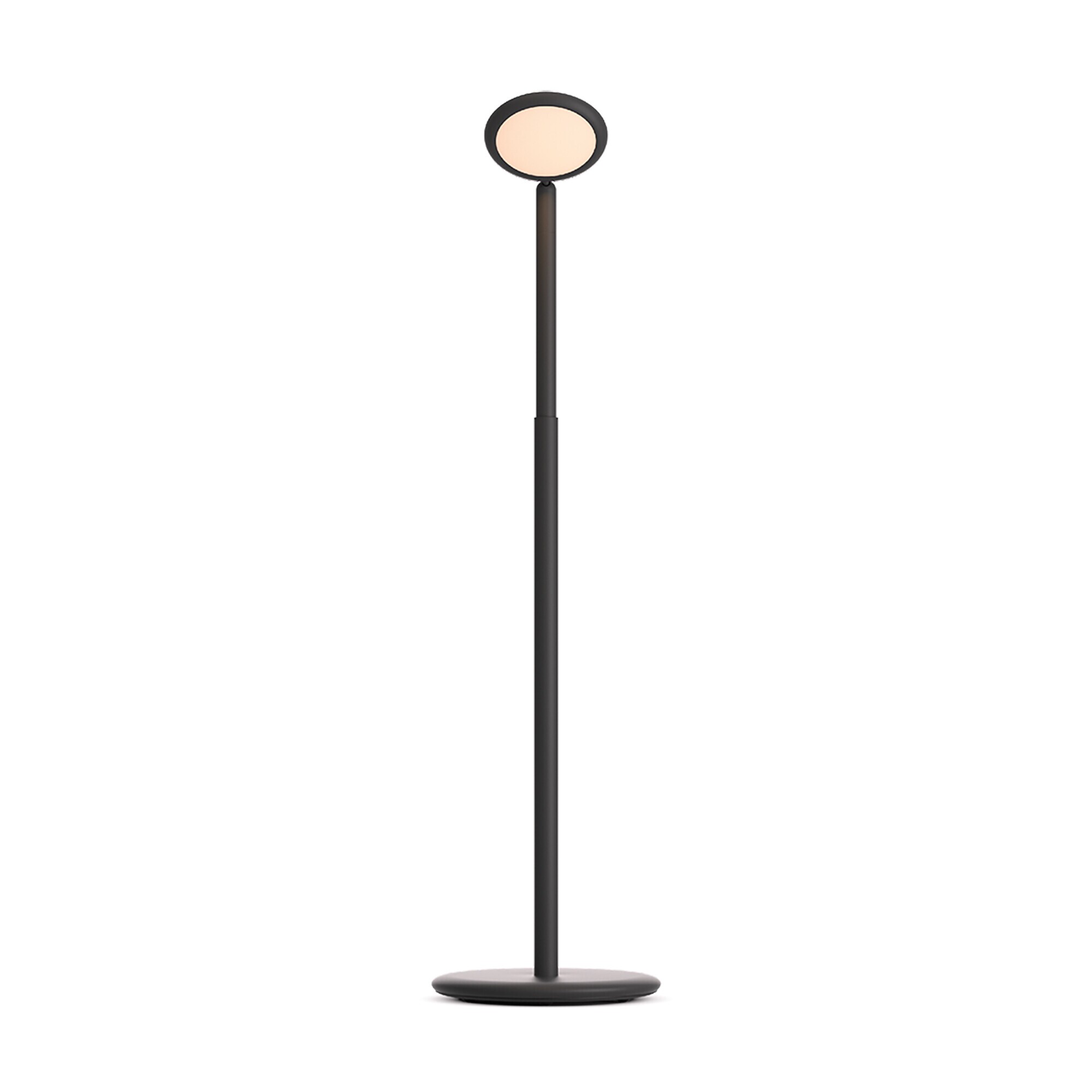 Parrot LED Floor Lamp with Battery