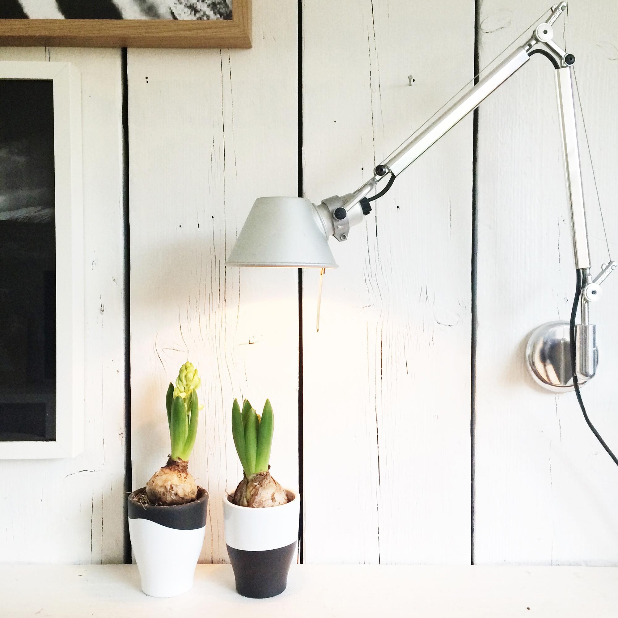 Tolomeo Micro Parete Wall Lamp