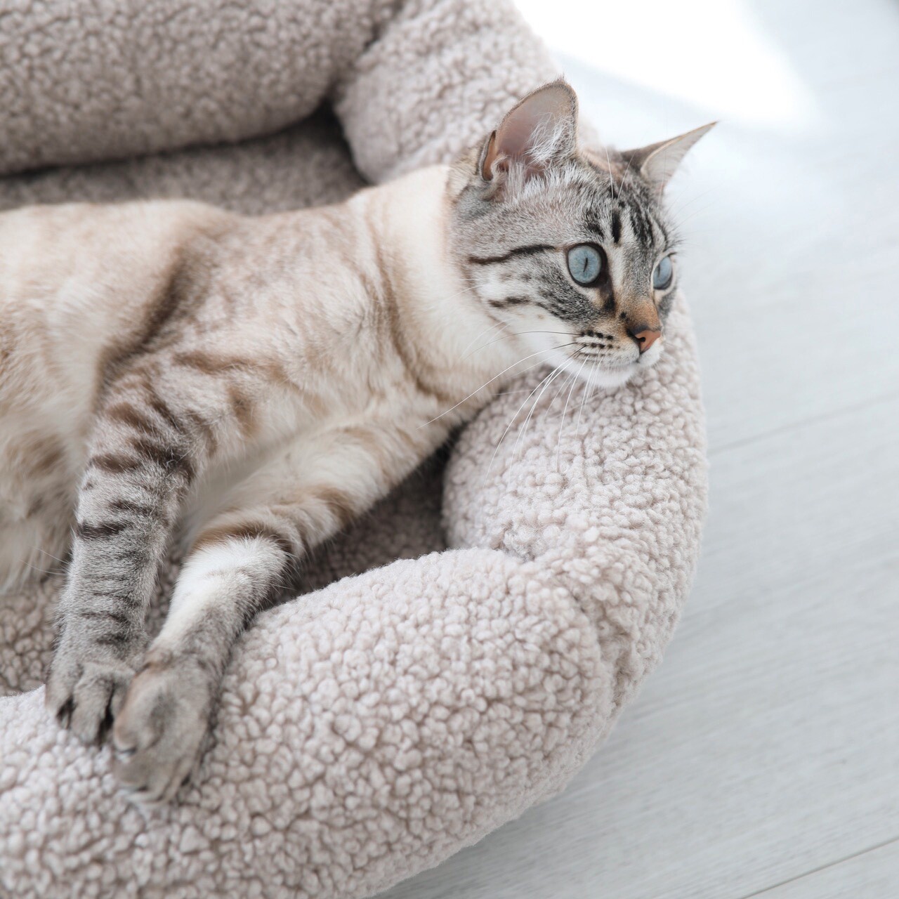 Senso Box Cat Bed