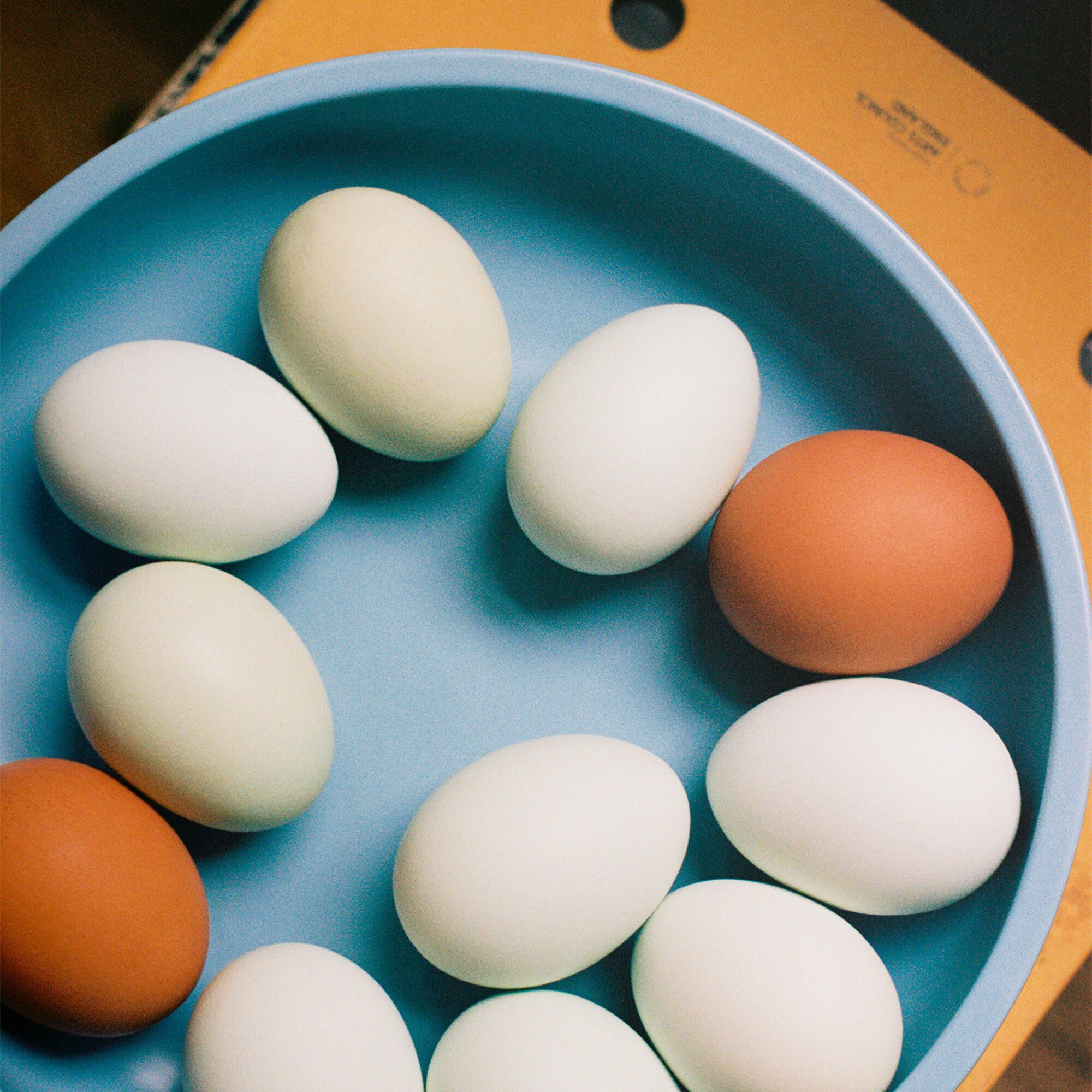 Sobremesa Serving Bowl M