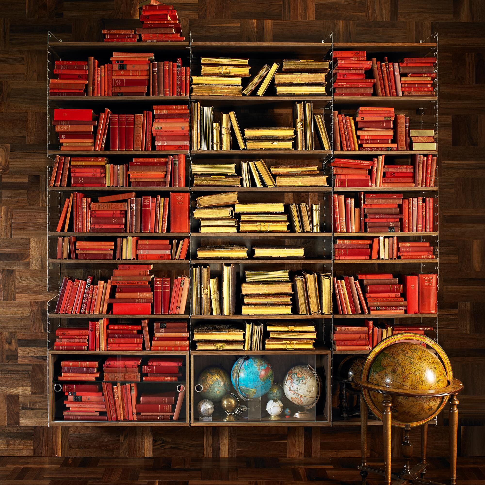 String System Wall Ladder Acrylic Glass 50x20cm