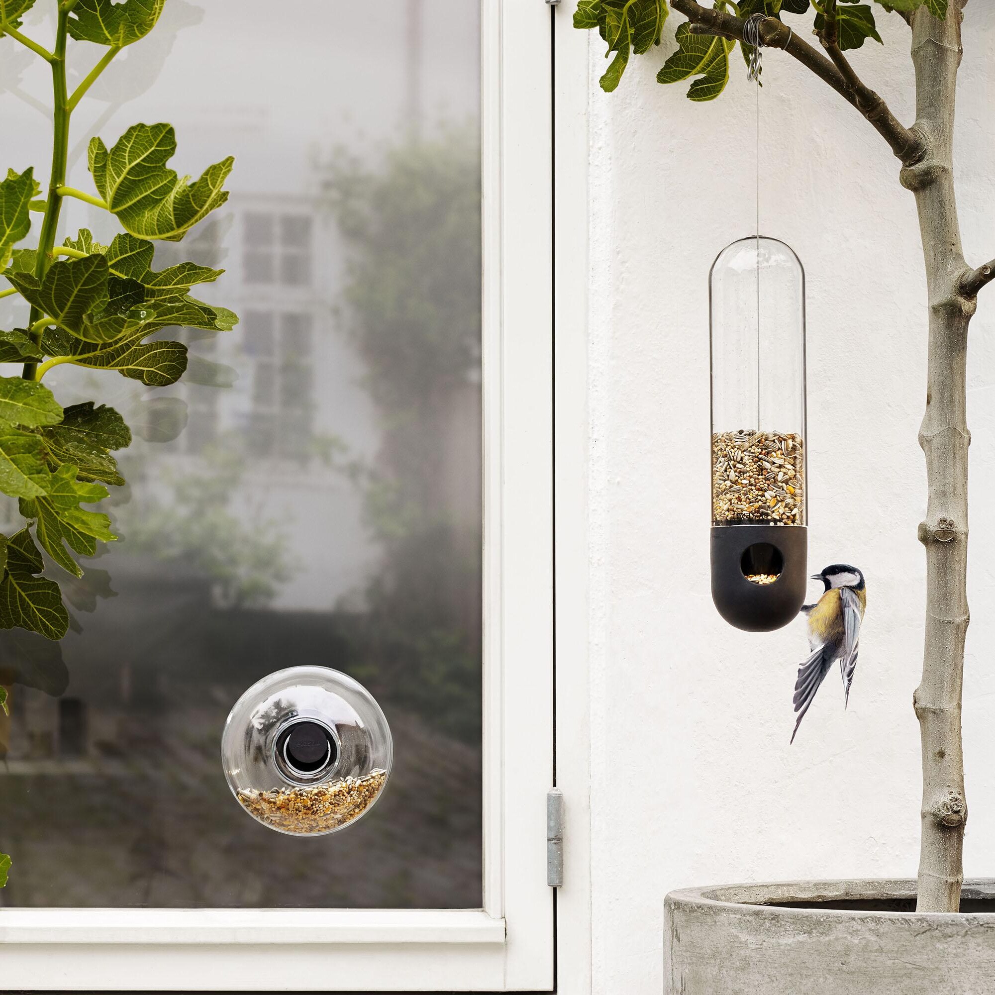 Window Bird Feeder