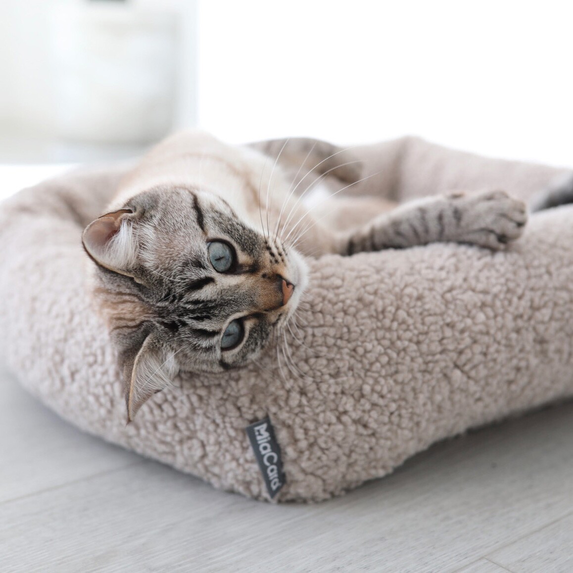 Senso Box Cat Bed
