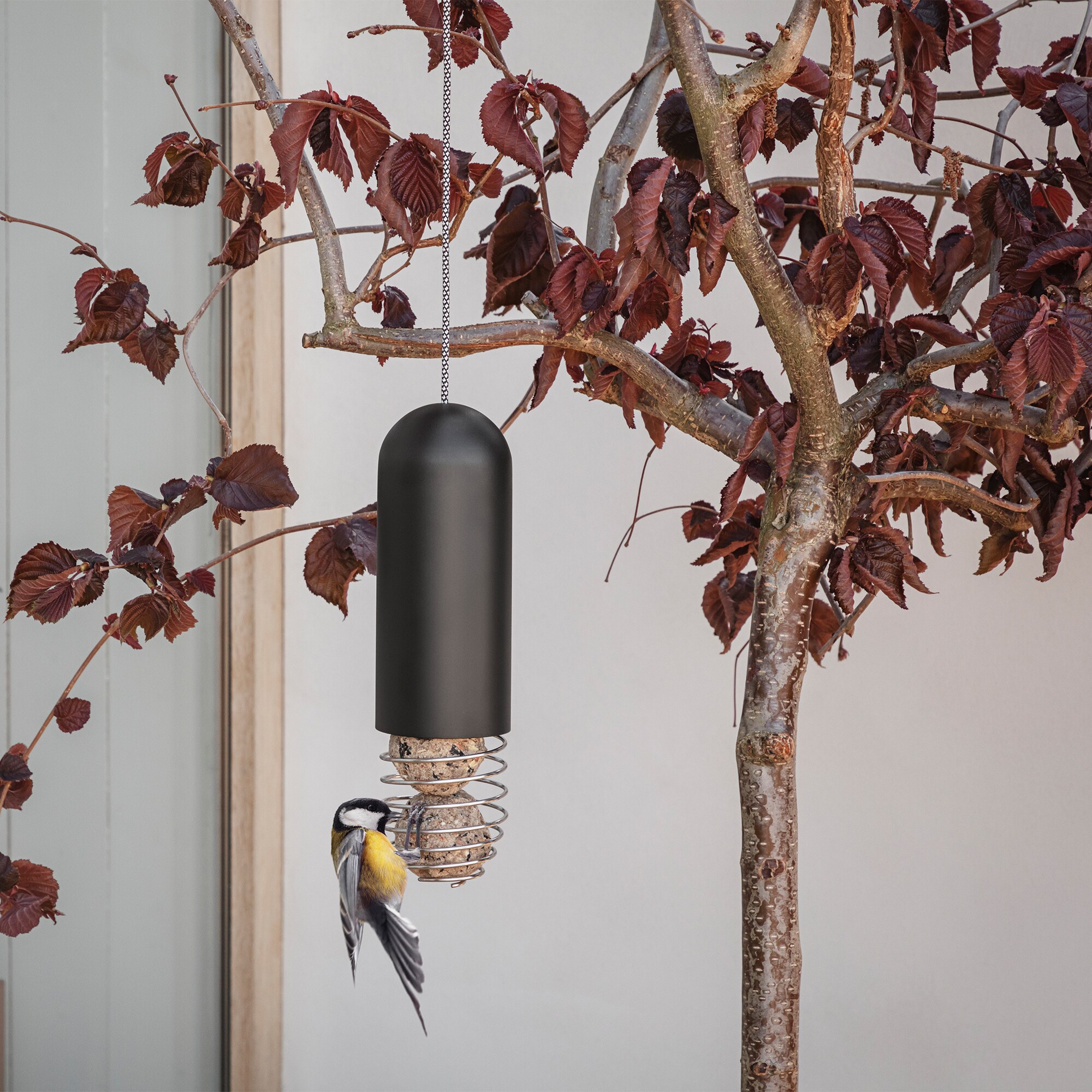 Suet Bird Feeder Hanging