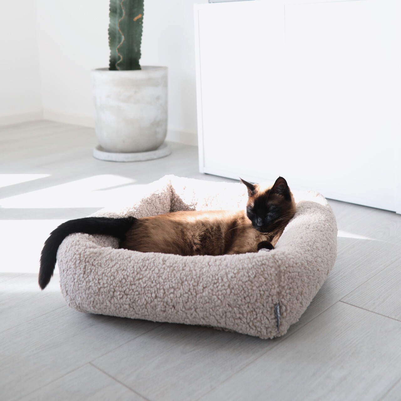 Senso Box Cat Bed