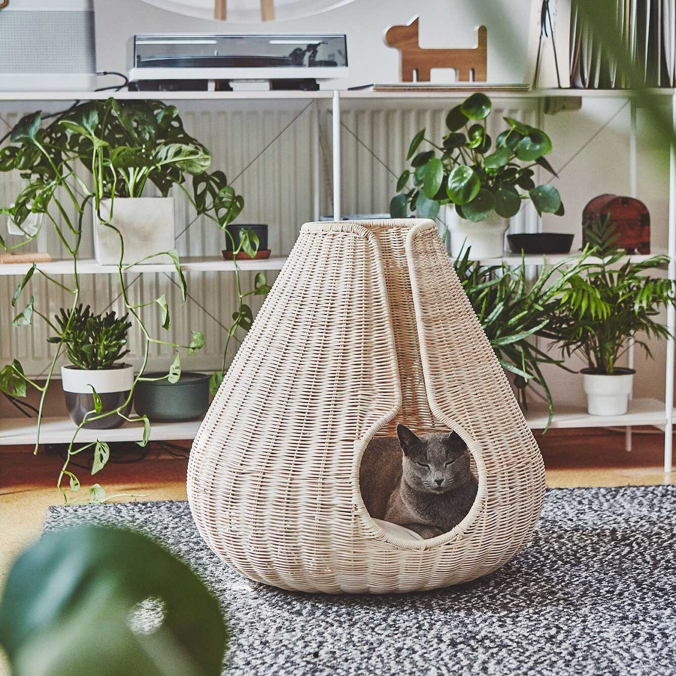 Perla Cat Basket Rattan