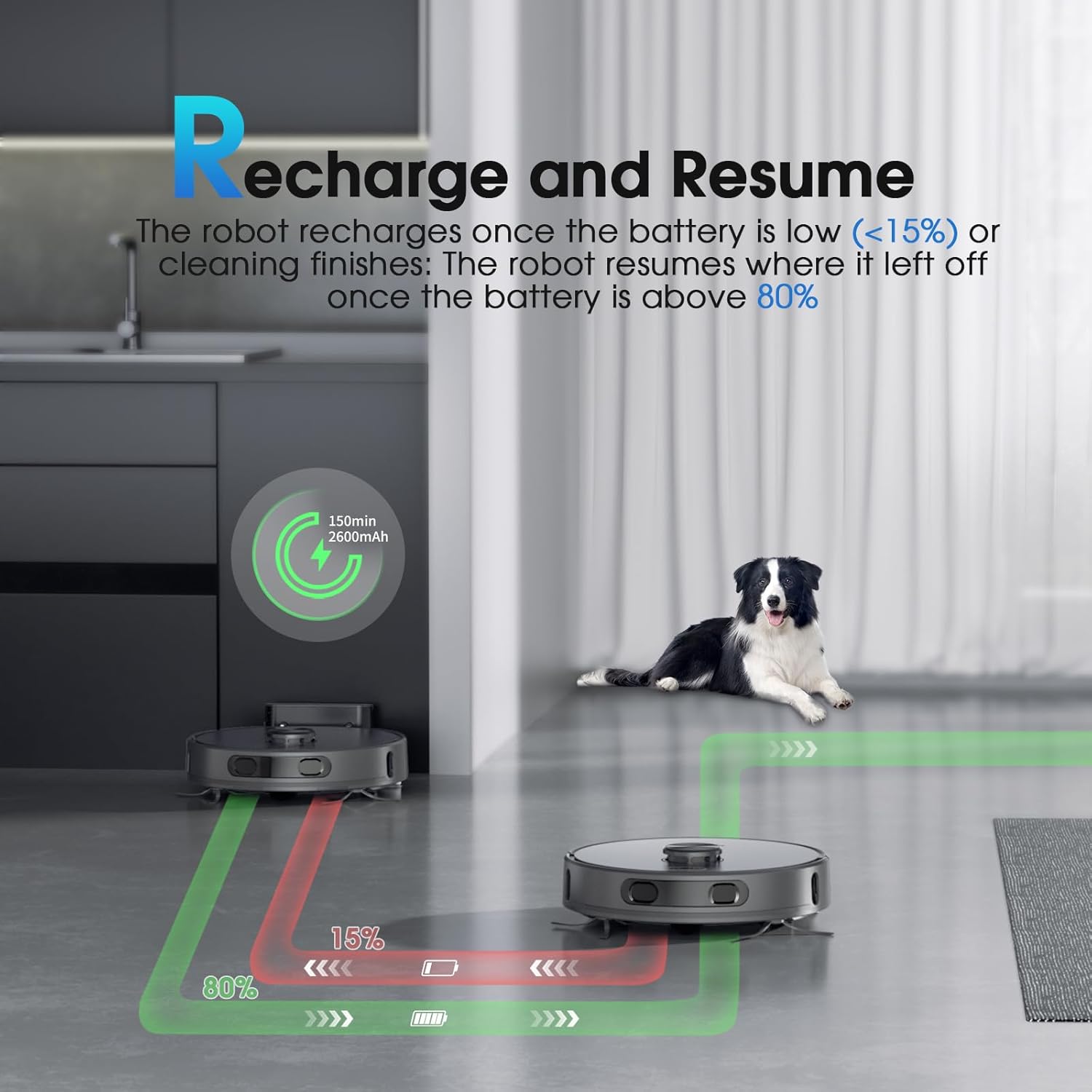 Robot Vacuum and Mop, Mapping Sweeping robot Cleaner with LiDAR Navigation Smart & Strong Suction, WiFi/App/Alexa/Voice Control, Obstacle Avoidance, for Home, Wood/Hard Floors, Pet Hair -Grey