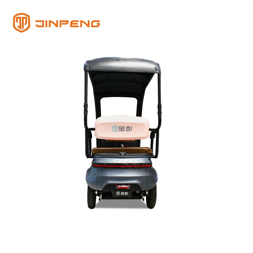 Electric Passenger Tricycle with Roof-P2