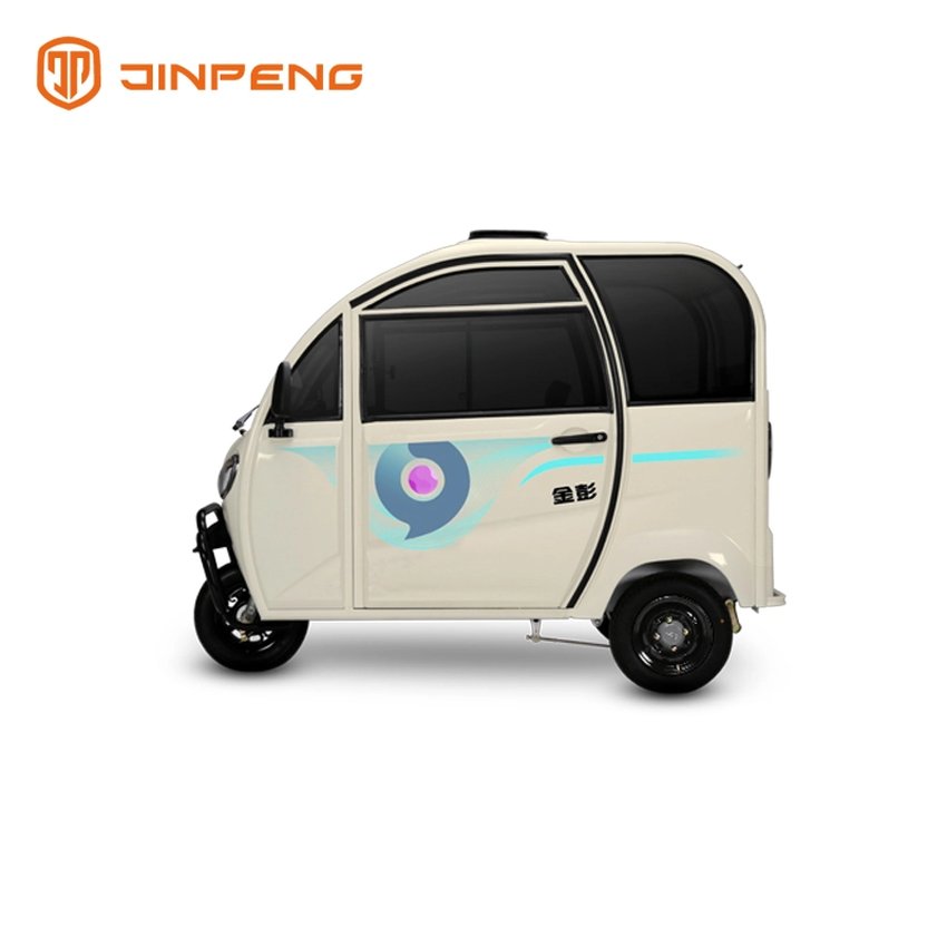 Pick Up Children Mini Passenger Eletric Tricycle-TG