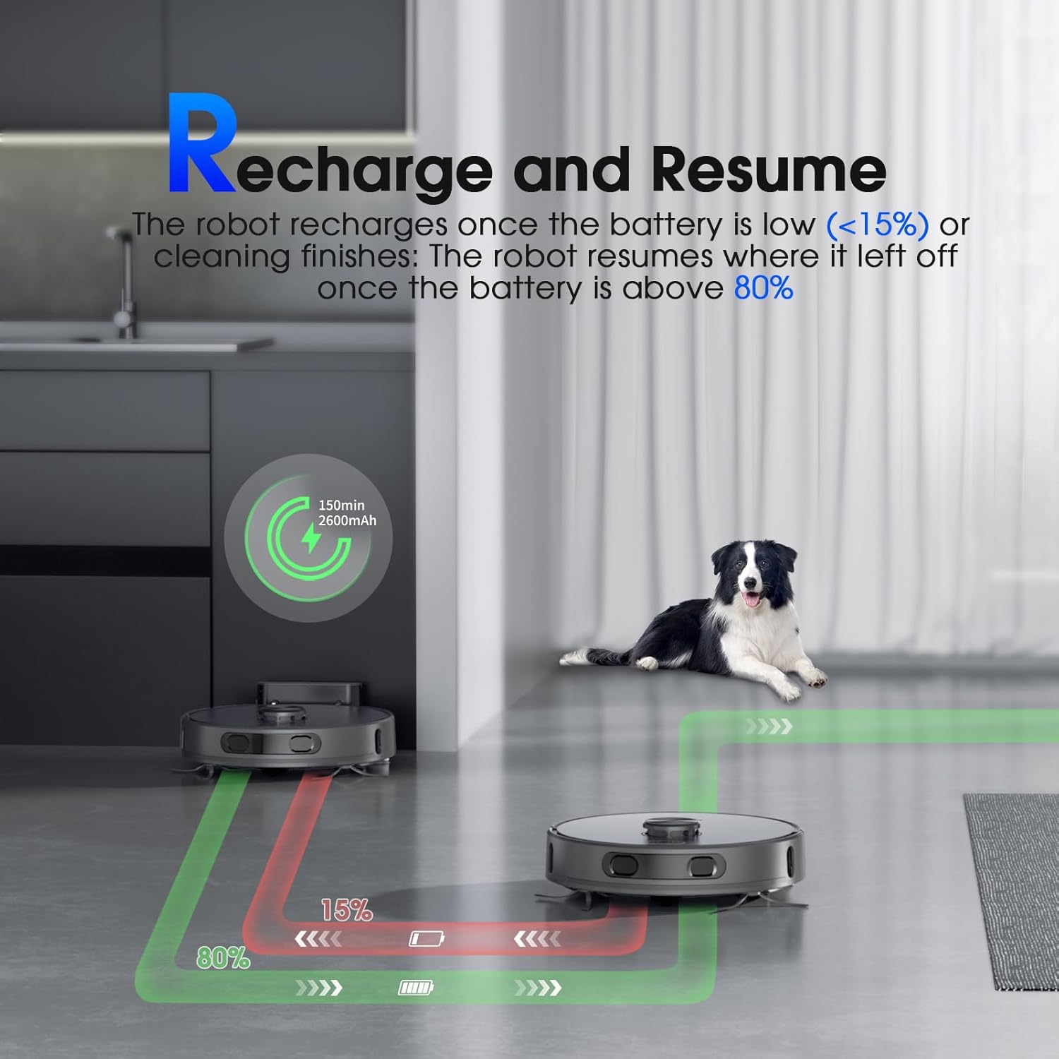 Robot Vacuum and Mop, Mapping Sweeping robot Cleaner with LiDAR Navigation Smart & Strong Suction, WiFi/App/Alexa/Voice Control, Obstacle Avoidance, for Home, Wood/Hard Floors, Pet Hair -Grey