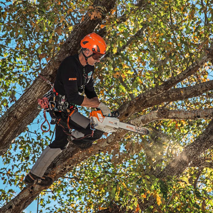 STIHL MSA 220 TC-O Top Handle Chainsaw