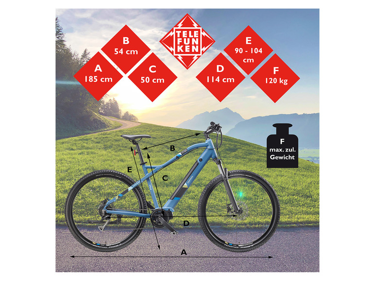 TELEFUNKEN E-Bike Mountainbike »Aufsteiger M925«, MTB, 27,5 / 29 Zoll