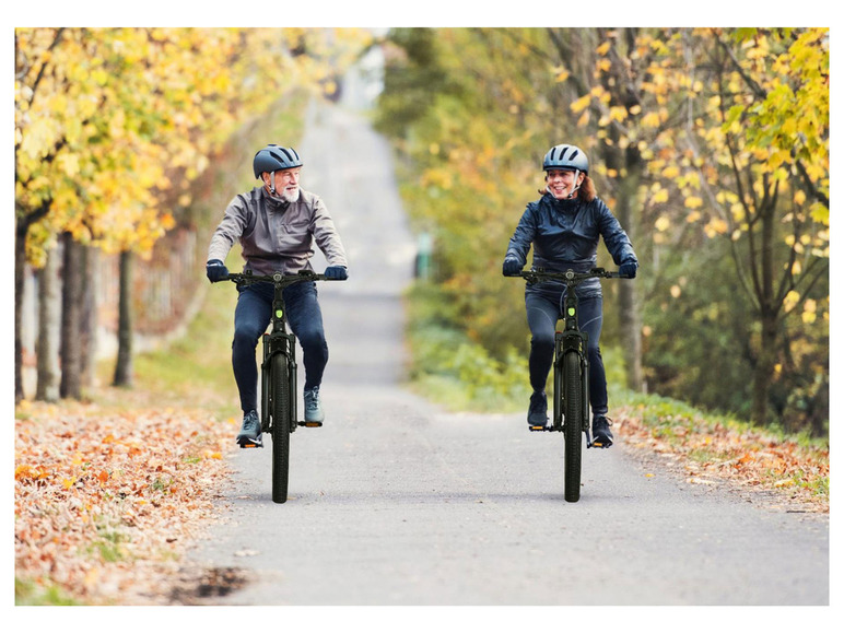 SachsenRad E-Bike, »E-SUV R6T Centro«, All-Terrain