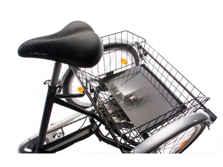 Wild Eagle E-Bike »Sondermodell 2022« Elektrodreirad vorn 26 Zoll, hinten 24 Zoll