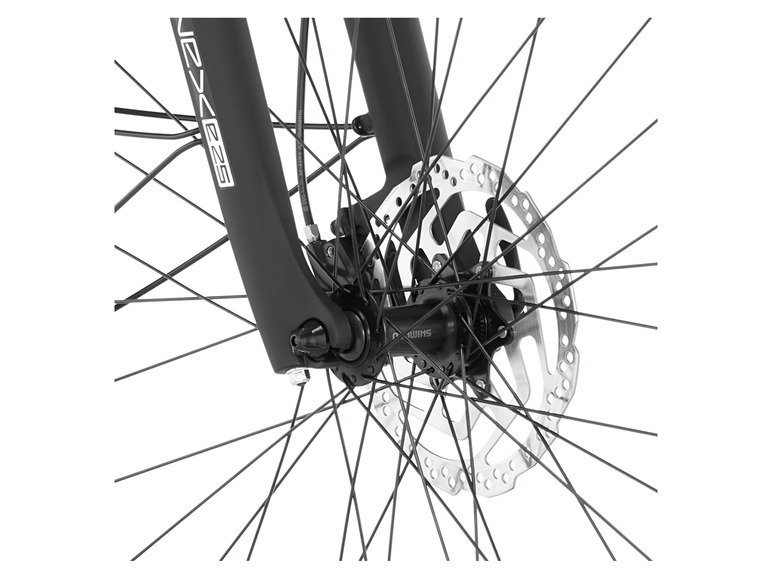 FISCHER E-Bike Trekkingrad »Viator 3.0«, 28 Zoll