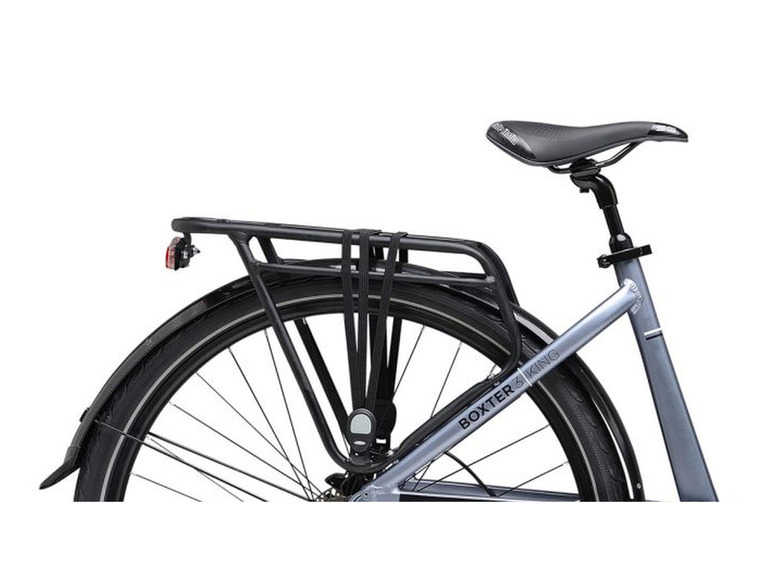 Adriatica E-Bike Trekking »3 KING LADY«, 28 Zoll