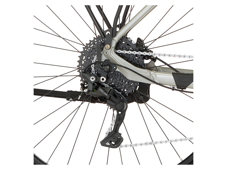 FISCHER E-Bike ATB »Terra 4.0i«, 29 Zoll