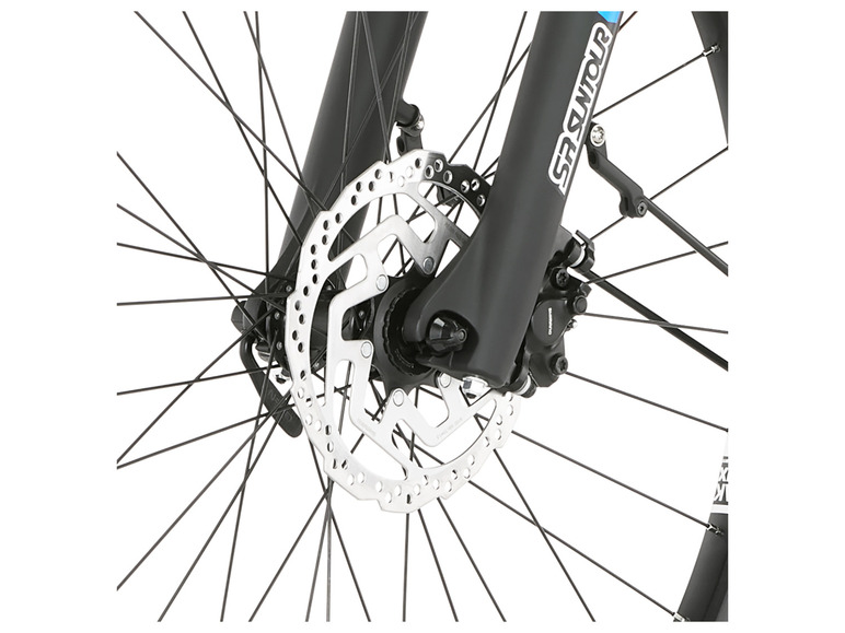 FISCHER E-Bike ATB »Terra 4.0i«, 29 Zoll