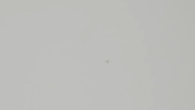 Worlds First Portable Mosquito Air Defense