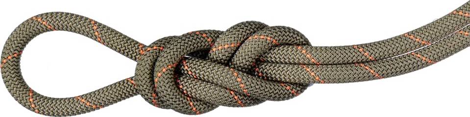 Mammut 9.9 Gym Workhorse Classic Rope 40m Boa