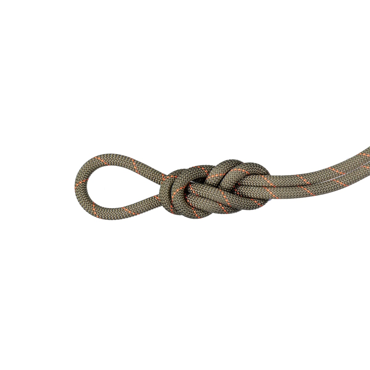 Mammut 9.9 Gym Workhorse Classic Rope 30m Boa