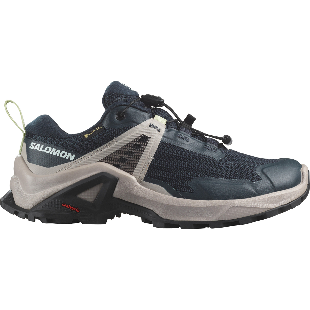 Salomon X Raise Gore-Tex Carbon / Ashes Of Roses / Clearly Aqua