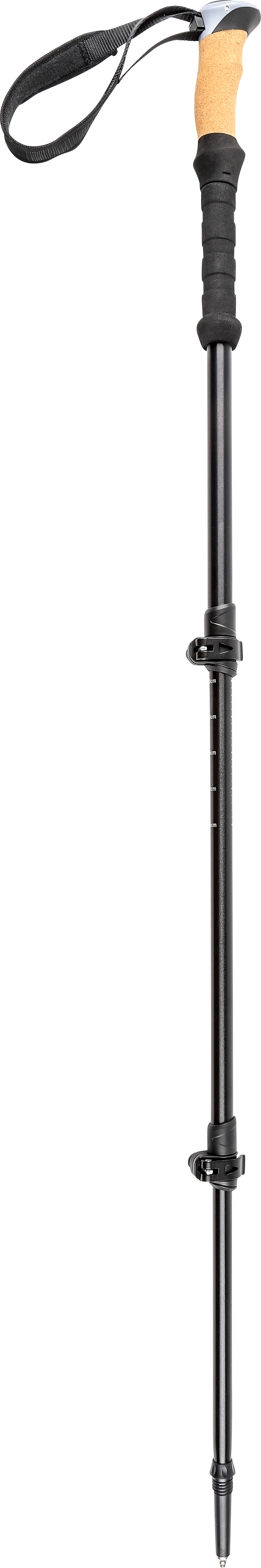 Pool 12 Speedstick Wading Pole Black