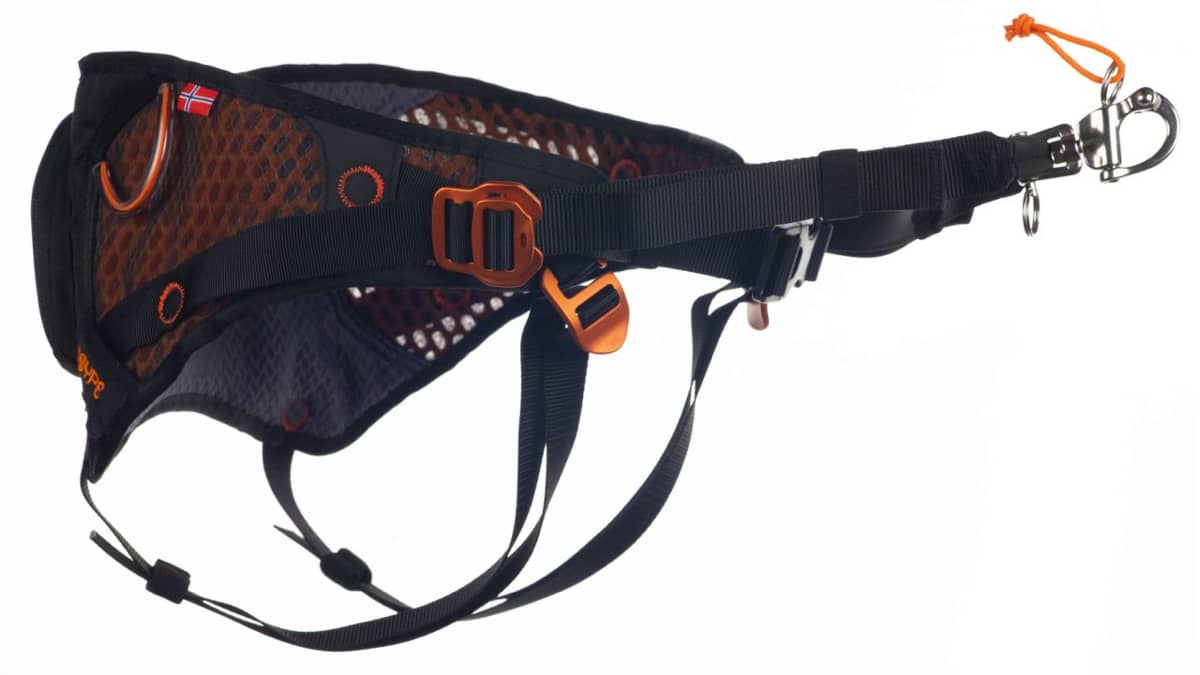 Non-stop Dogwear Løype Belt Orange