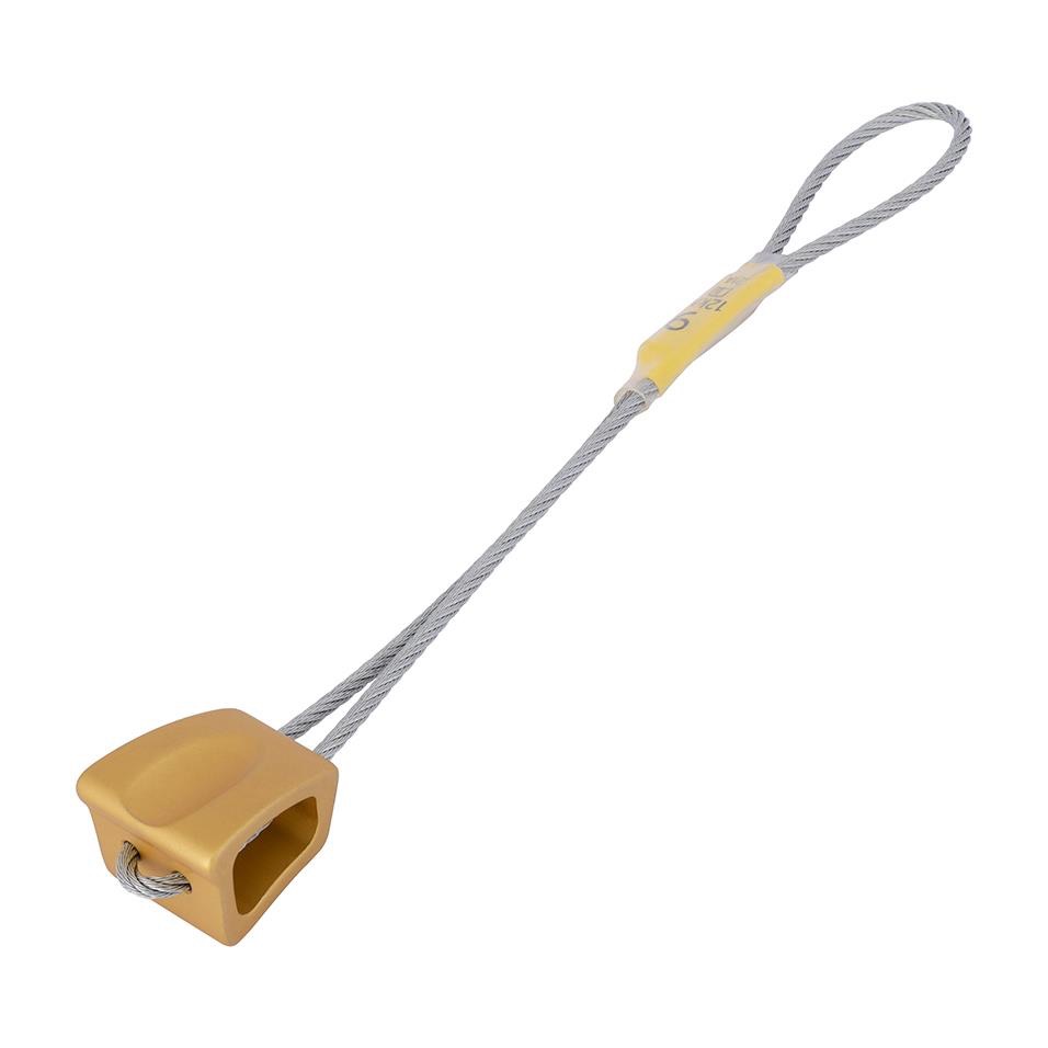 DMM Wallnut Gold