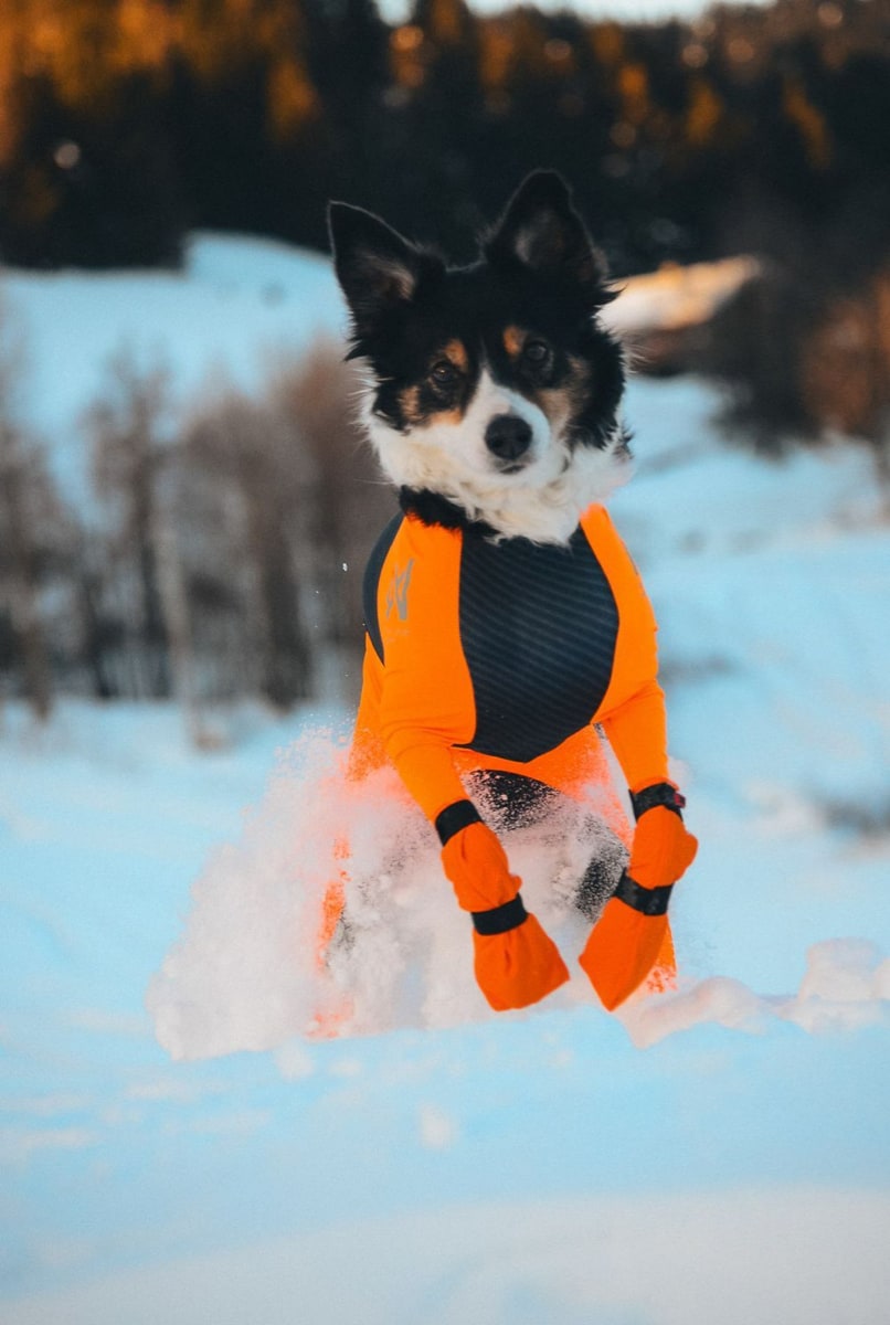 Non-stop Dogwear Contact Bootie High Orange