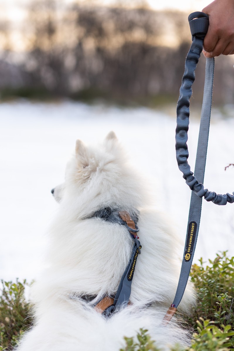Seleverkstedet Trekreg dog harness Grå/brun