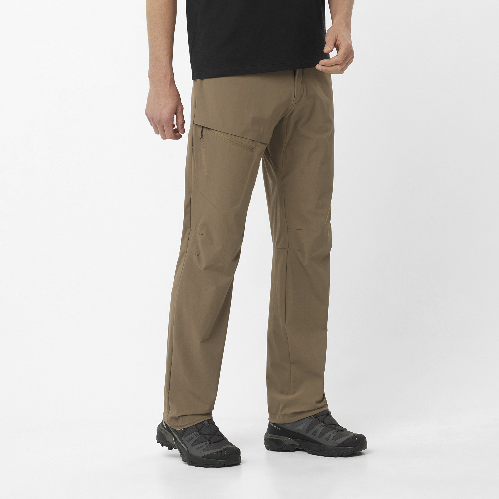 Salomon Men's Wayfarer Pant Shitake