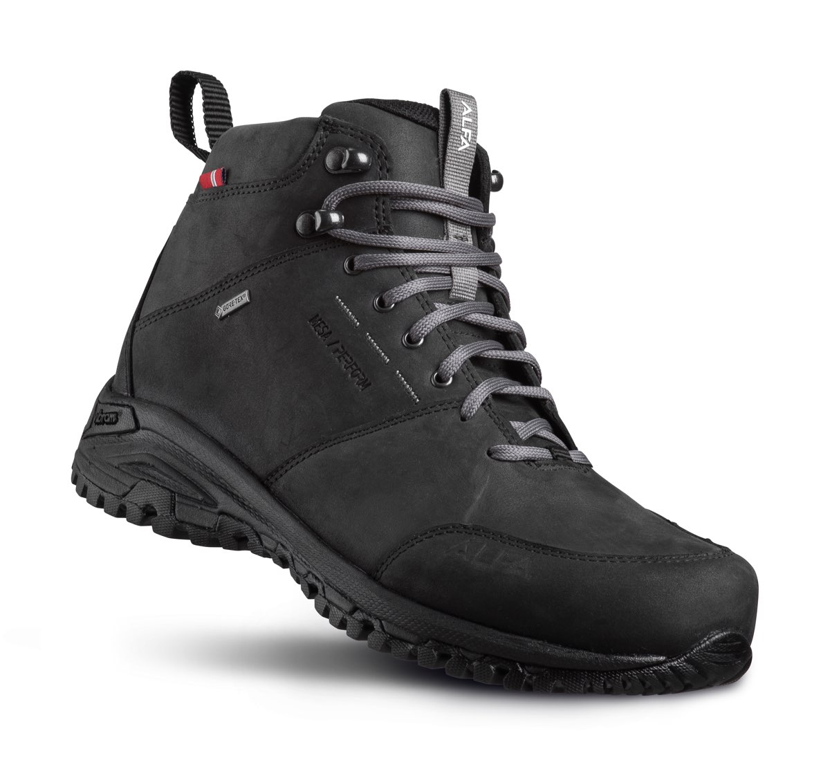 Alfa Men's Mesa Perform Gore-Tex Black