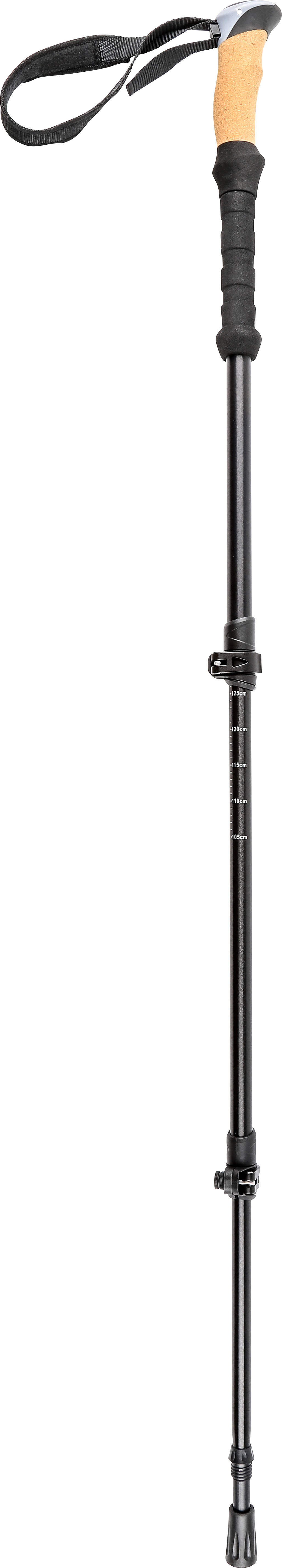 Pool 12 Speedstick Wading Pole Black