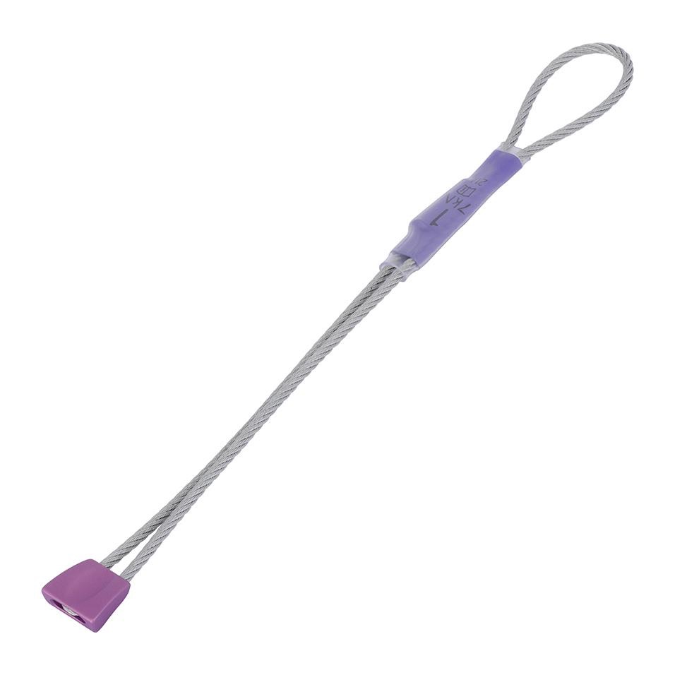 DMM Wallnut Purple