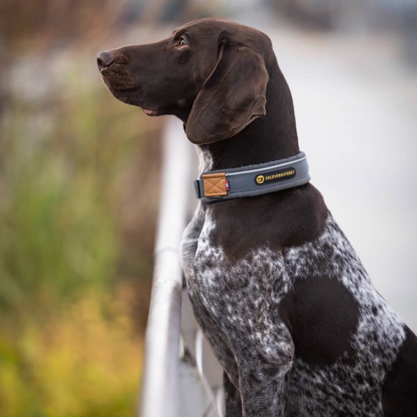 Seleverkstedet Unify dog collar Grå/brun