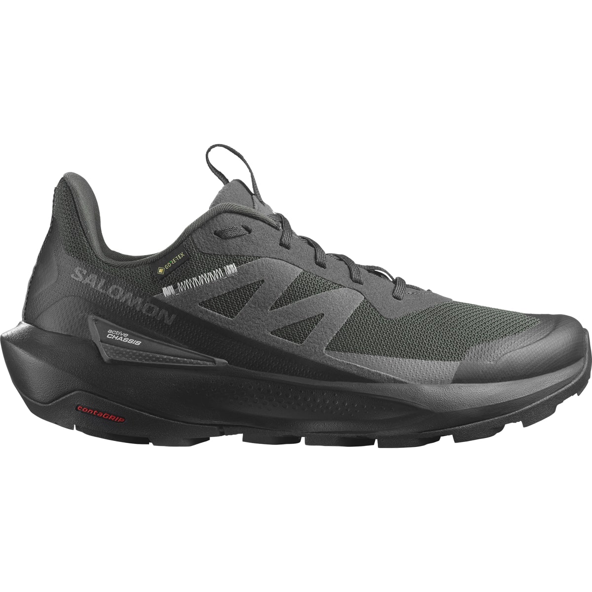 Salomon Elixir Activ Gore-Tex Phantom/Black/Magnet