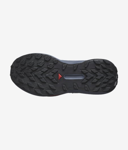 Salomon Genesis Carbon / Grisaille / Aloe Wash