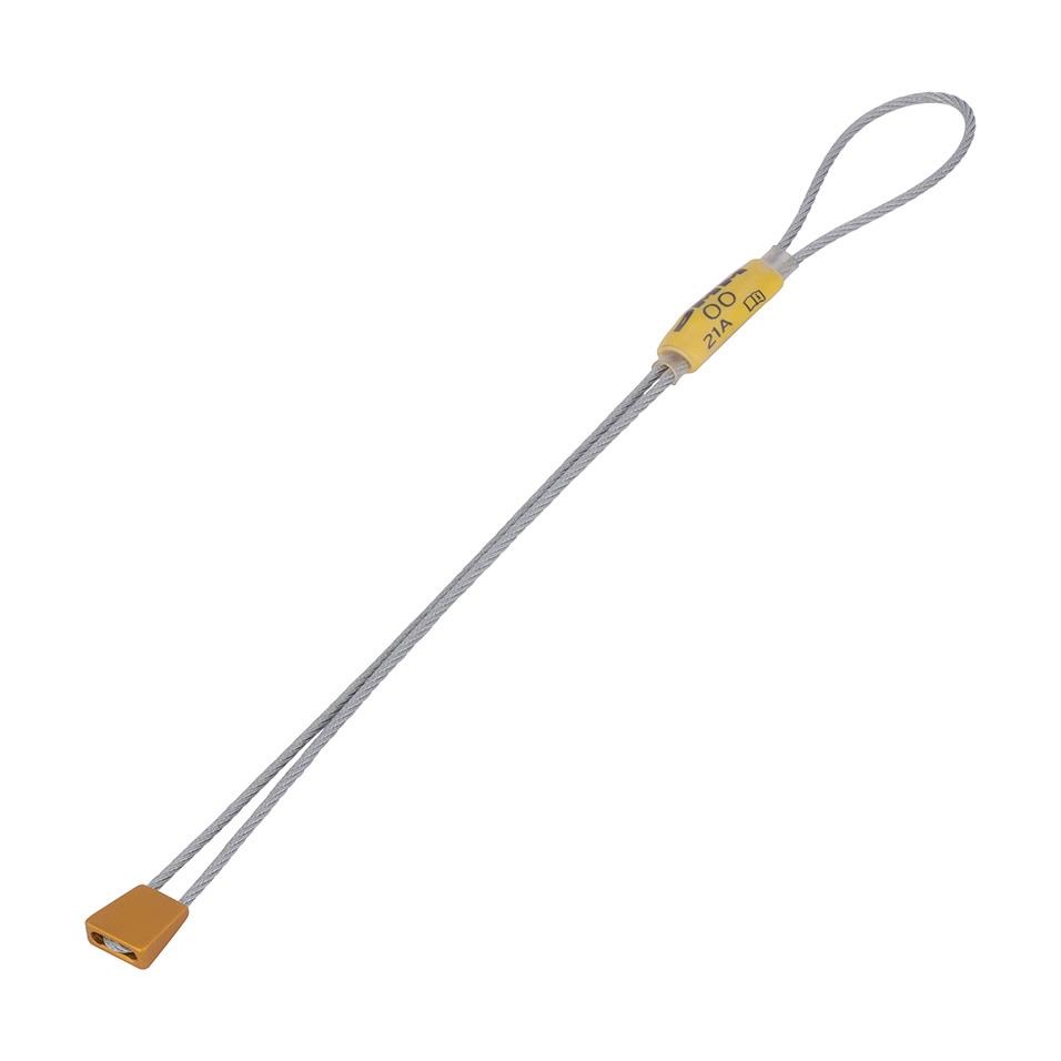 DMM Wallnut Gold