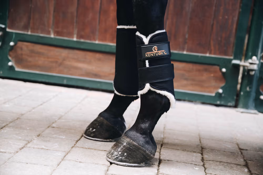 Turnout boots Solimbra black front
