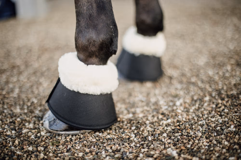 Sheepskin Overreach Boots black XXL