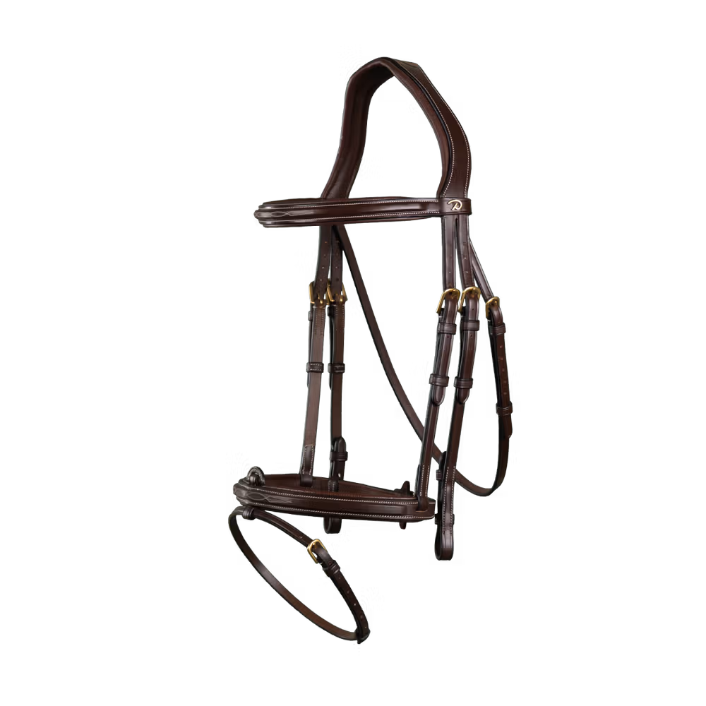 Flash Noseband Bridle