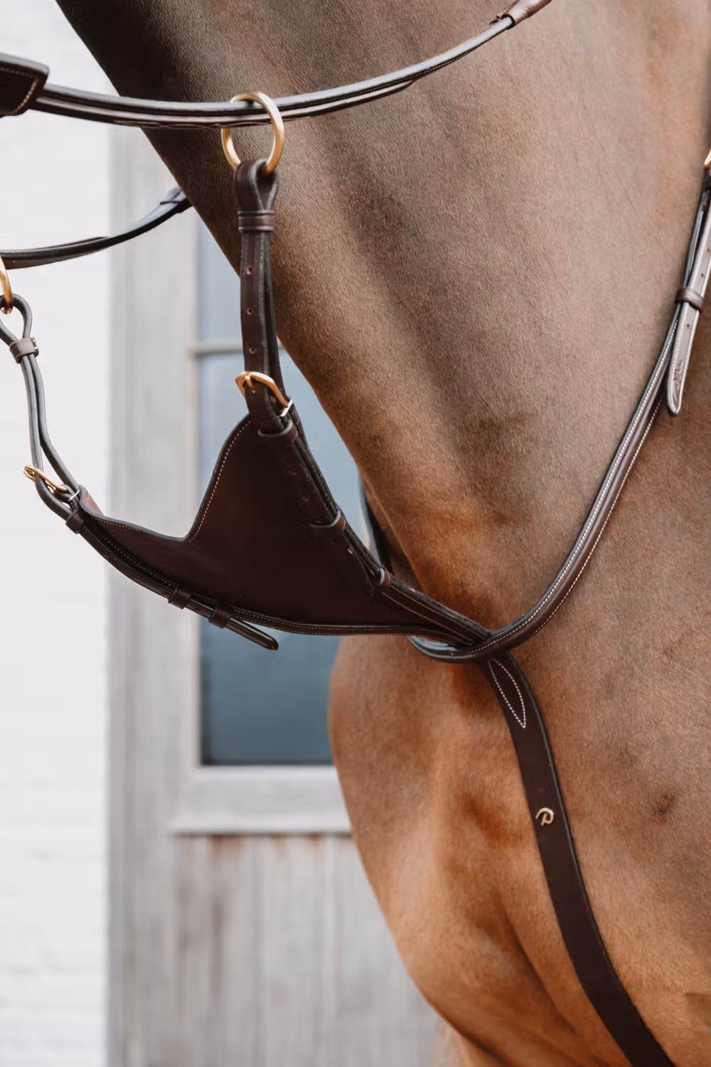 Soft leather BIB Martingale DY coll, Full/brown
