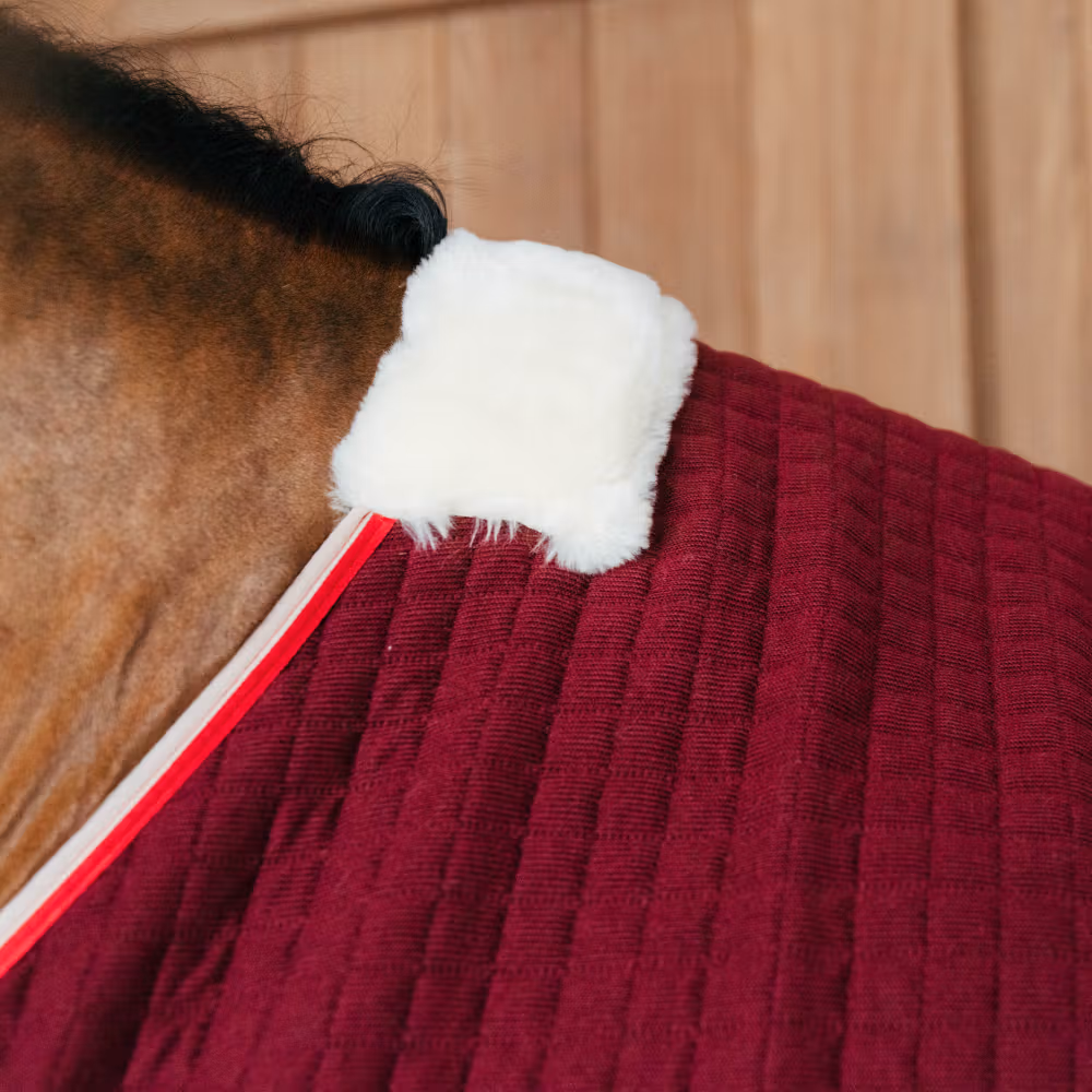 Cooler rug PROTherm bordeaux 145-6'6