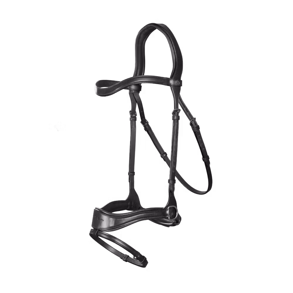 D Motion Bridle